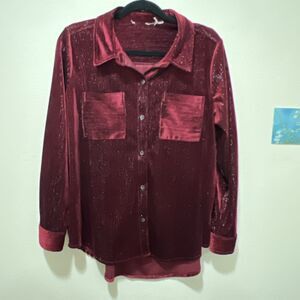 Women’s Velvet Button Down Jewel Purple Whimsy Goth Victorian